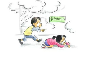 孩子們知道的安全知識有哪些