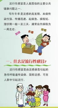安全知識(shí)預(yù)防流感