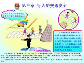 安全知識(shí)記心中演講小學(xué)生