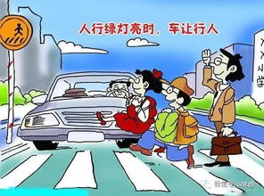 汽車安全交通知識