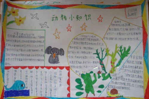 三級(jí)小學(xué)生安全知識(shí)小報(bào)內(nèi)容