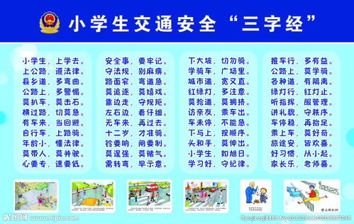 學(xué)生交通安全知識(shí)3字經(jīng)