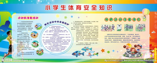 體育安全知識(shí)小學(xué)生