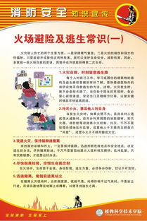 關(guān)于防火安全知識(shí)通知