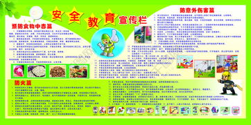 寒假安全知識教育簡報