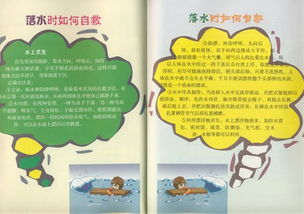 安全初中知識內容