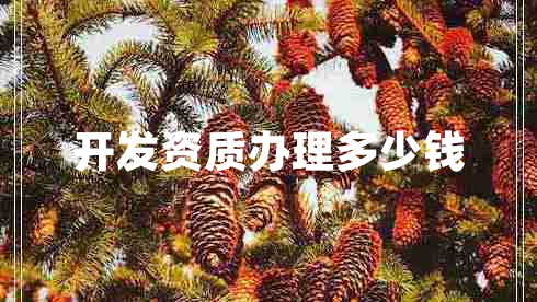 開(kāi)發(fā)資質(zhì)辦理多少錢 開(kāi)發(fā)資質(zhì)辦理多少錢