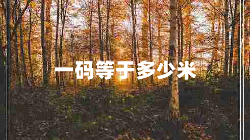 一碼等于多少米