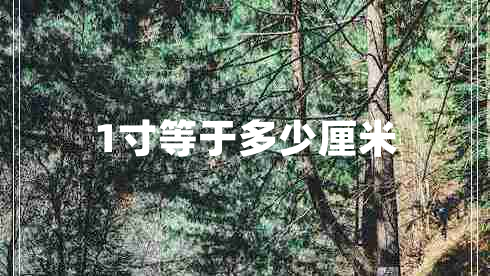 1寸等于多少厘米