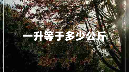 一升等于多少公斤