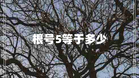 根號(hào)5等于多少