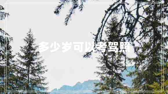 多少歲可以考駕照