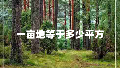 一畝地等于多少平方