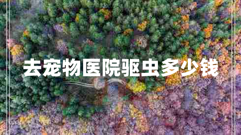 去寵物醫(yī)院驅(qū)蟲多少錢