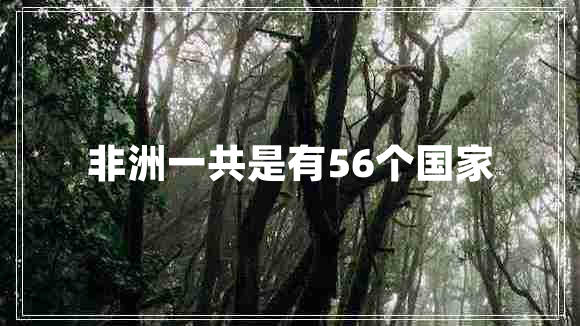非洲一共是有56個(gè)國(guó)家
