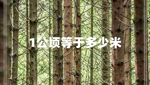 1公頃等于多少米