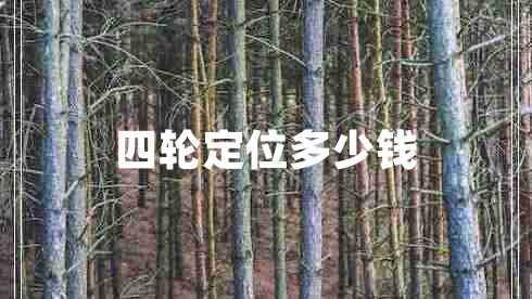 四輪定位多少錢