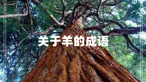 關(guān)于羊的成語