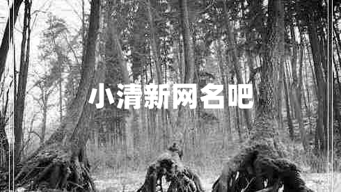 小清新網(wǎng)名吧 小清新網(wǎng)名吧