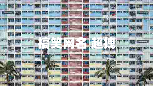 搞笑網(wǎng)名 超拽 搞笑網(wǎng)名 超拽