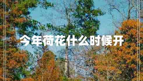 今年荷花什么時(shí)候開(kāi)
