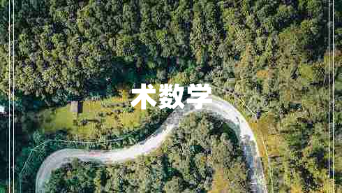 術(shù)數(shù)學(xué)