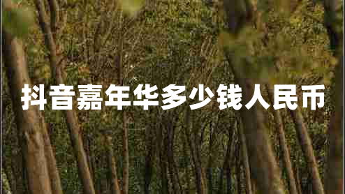 抖音嘉年華多少錢人民幣