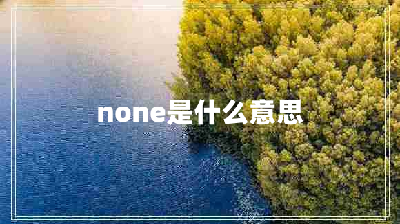 none是什么意思