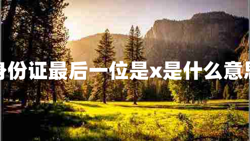 身份證最后一位是x是什么意思