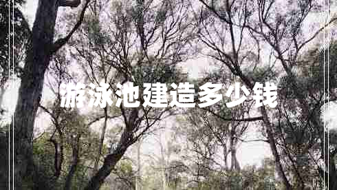 游泳池建造多少錢 游泳池建造多少錢