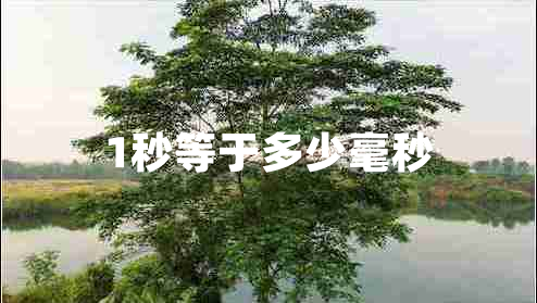 1秒等于多少毫秒