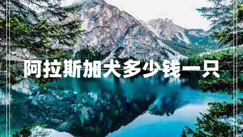 阿拉斯加犬多少錢(qián)一只 阿拉斯加犬多少錢(qián)一只