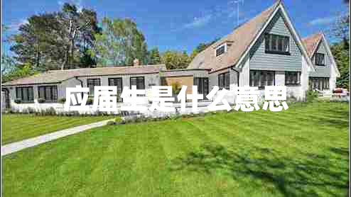 應(yīng)屆生是什么意思