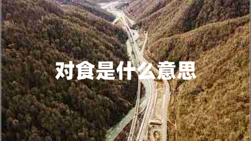 對(duì)食是什么意思