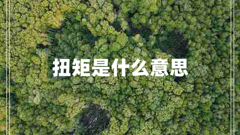 扭矩是什么意思 扭矩是什么意思