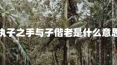 執(zhí)子之手與子偕老是什么意思