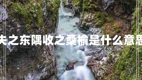 失之東隅收之桑榆是什么意思