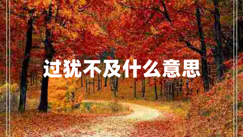 過(guò)猶不及什么意思