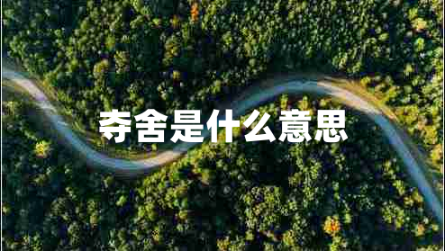 奪舍是什么意思