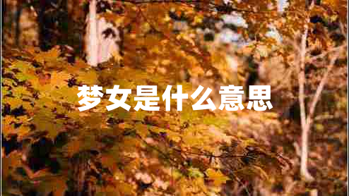 夢(mèng)女是什么意思