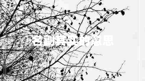 名副其實(shí)的意思