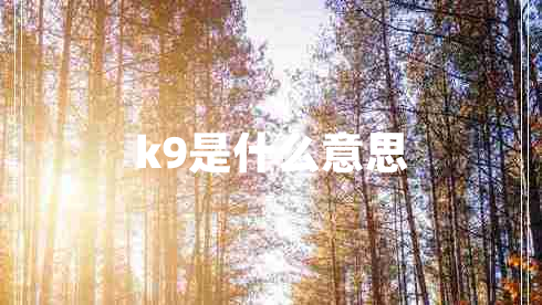 k9是什么意思