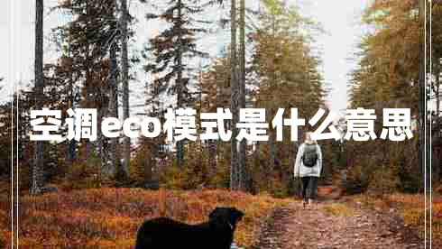 空調(diào)eco模式是什么意思