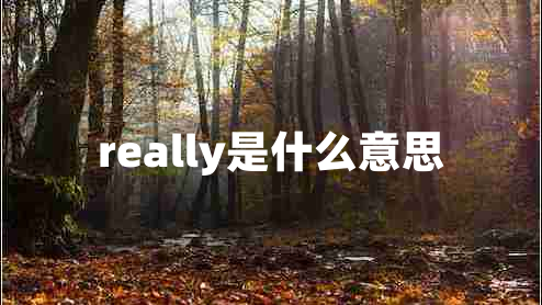 really是什么意思