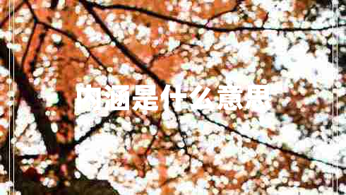 內(nèi)涵是什么意思