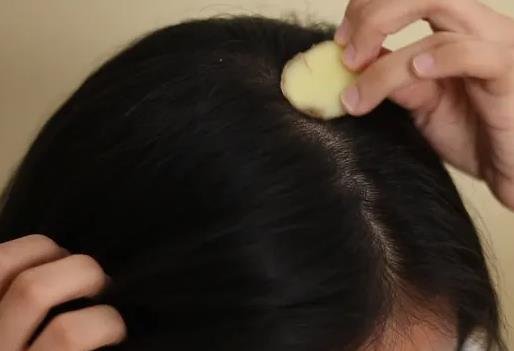 生姜擦頭皮真的能生發(fā)嗎
