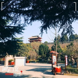 典故,項莊舞劍意在沛公