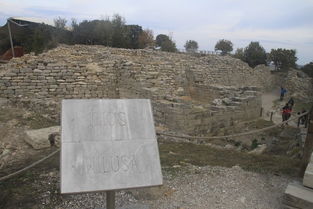 特洛伊木馬,典故