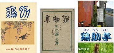 雞肋的典故有感