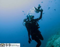 騎鯨少年的典故,李白騎鯨的典故,騎鯨公子的典故